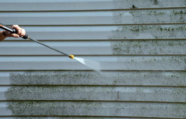 Roof Power Washing Services in Columbia, IL